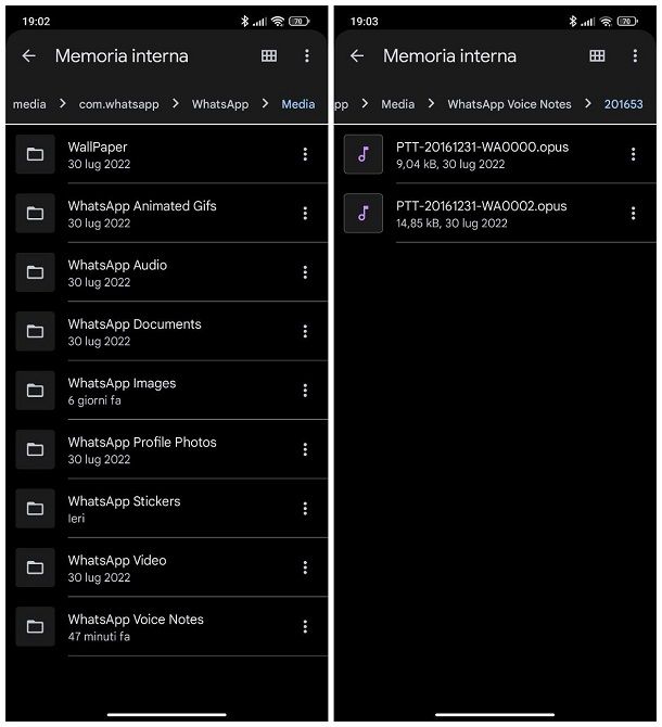 WhatsApp: dove salva i file audio su Android?