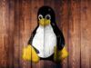 Come accedere alle partizioni Linux da Windows