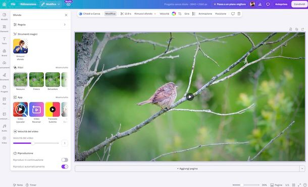 Canva