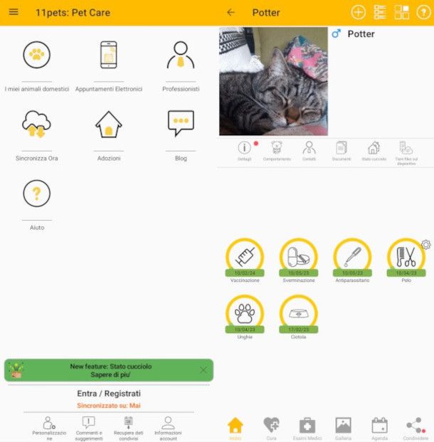 schermate dimostrative app 11pets