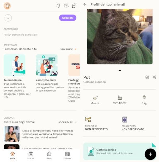 schermata principale e impostazione profilo del gatto su app Zampy Life