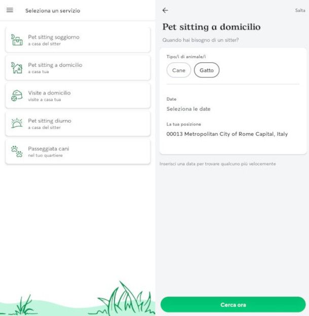 ricerca cat sitter su app Rover