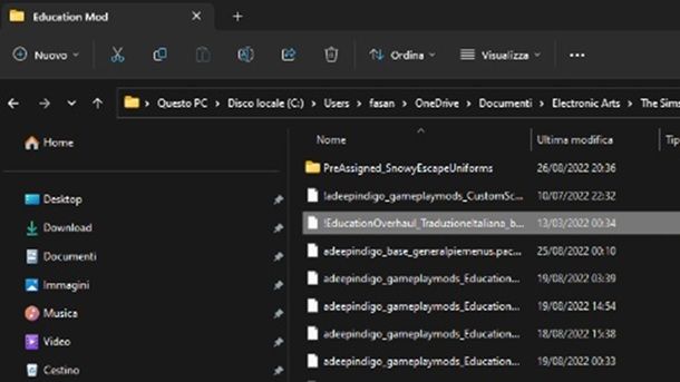 Come scaricare e installare traduzioni mod