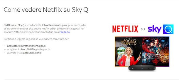Come funziona Netflix su Sky