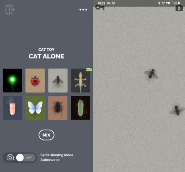 funzionamento app gioco per gatti Cat Alone