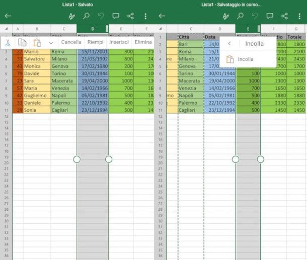 tagliare e incollare una colonna su Excel