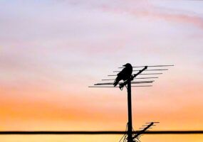 Migliori antenne TV: guida all’acquisto