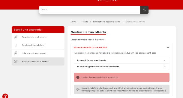 sito Web Iliad