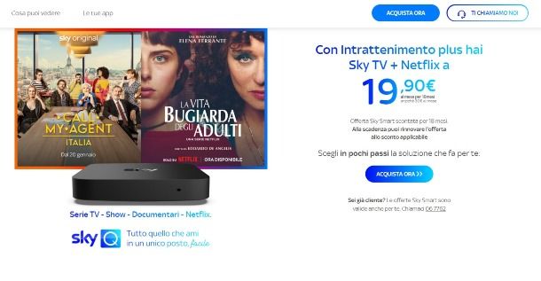 Netflix e Sky Q