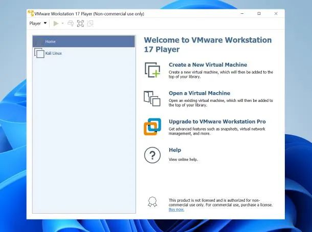 VMware Workstation Player