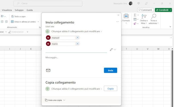 finestra di condivisione Excel per Windows