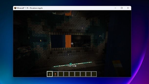 Informazioni preliminari portale Warden