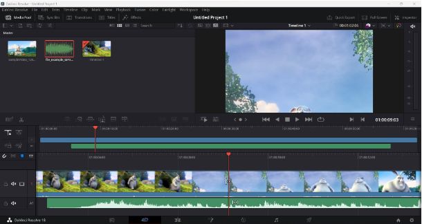 DaVinci Resolve