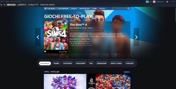 giochi gratis steam