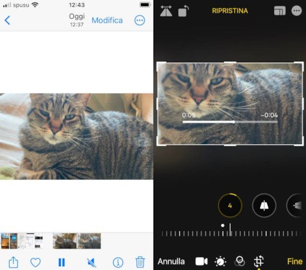 ruotare un video su app Foto