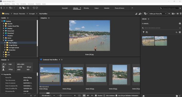 schermata programma Adobe Bridge