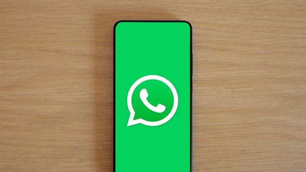 Informazioni preliminari WhatsApp