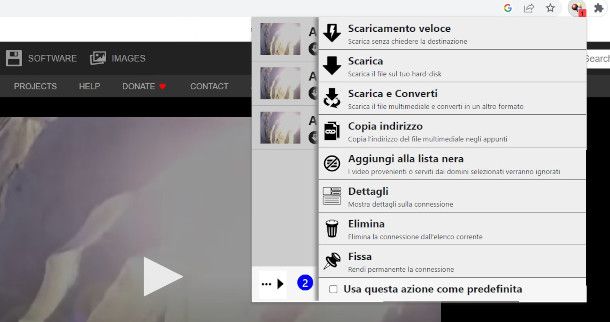 schermata estensione VideoDownload Helper per Chrome