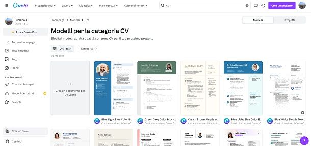 canva cv