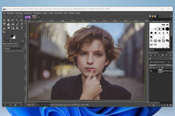 Altri programmi per allungare i capelli in una foto su PC