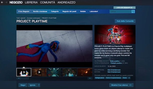 PROJECT: PLAYTIME su Steam