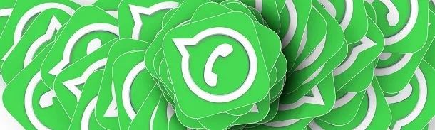 WhatsApp client e Web