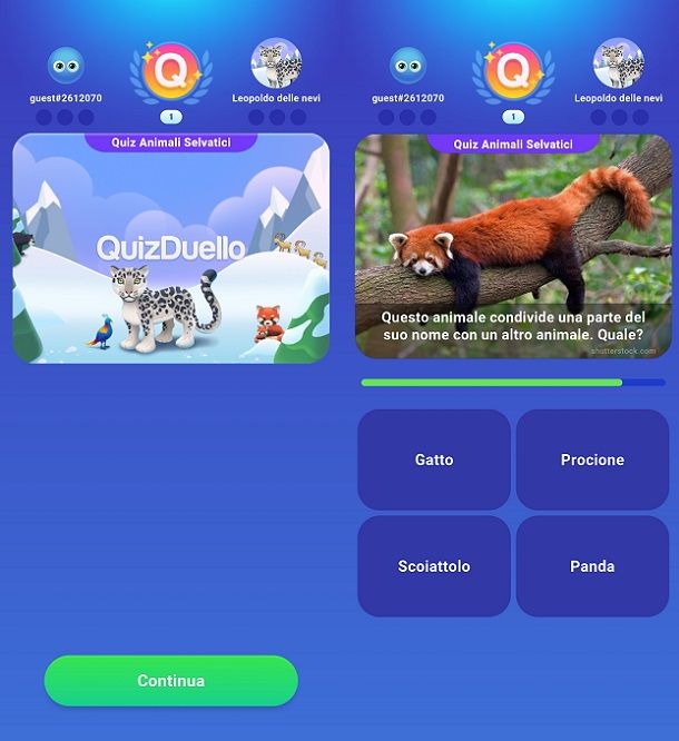 quizduello