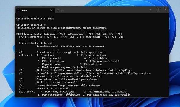 Come usare il Prompt dei comandi: istruzioni utili