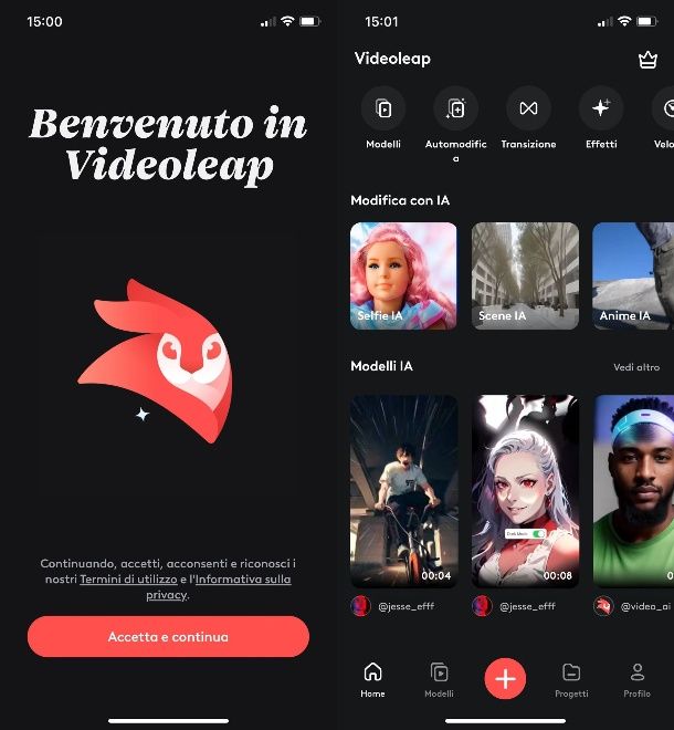 Videoleap