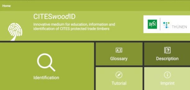 schermata app CitesWoodID