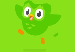 Come funziona Duolingo