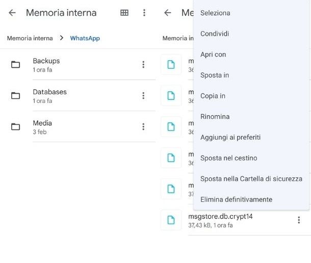 Backup locale WhatsApp