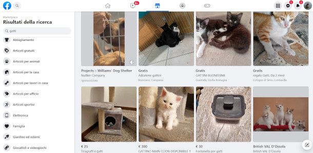 annunci cani e gatti in regalo su Facebook Marketplace