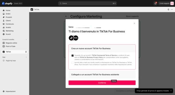 TikTok For Business