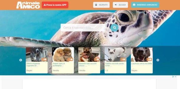 home page sito Animale Amico