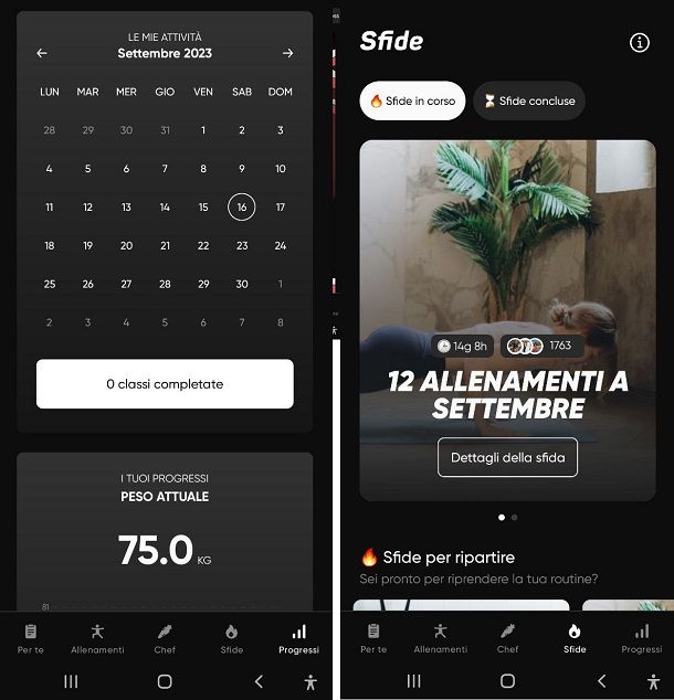 Come funziona Buddyfit