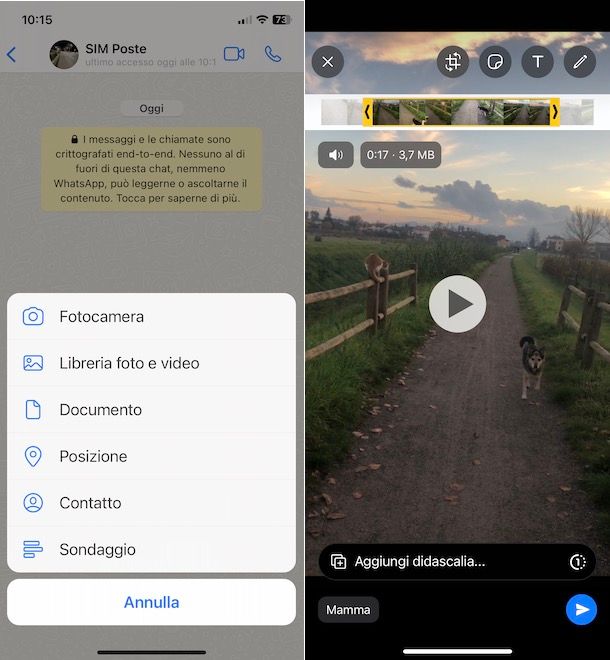 Come condividere un video su WhatsApp