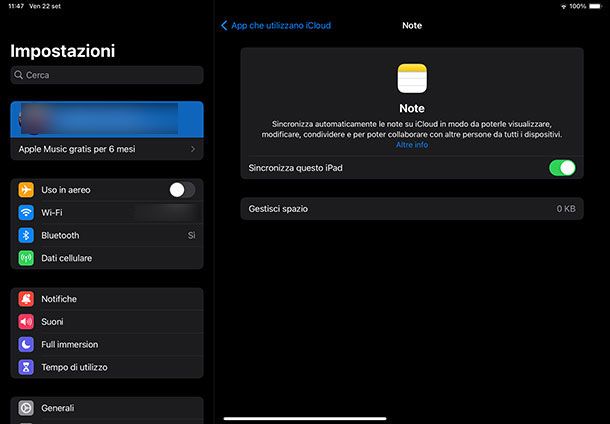 Sincronizzazione di iCloud iPad