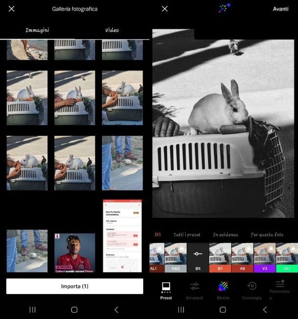 VSCO Migliori app per modificare foto gratis