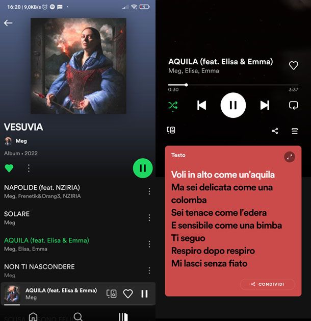 Testo canzoni su Spotify