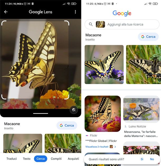 Google Lens per riconoscere animali