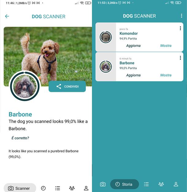 Dog scanner per identificare razze canine