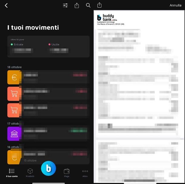 Come si scarica la lista movimenti buddybank