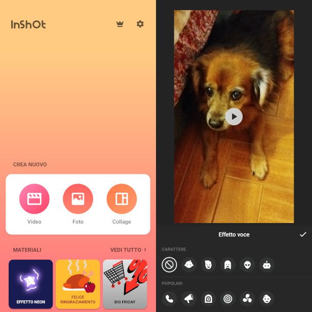 schermate app InShot