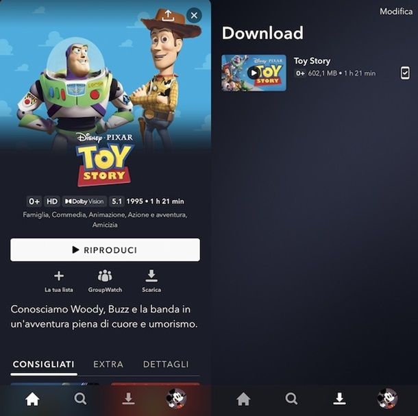 Altri servizi di streaming per scaricare film HD