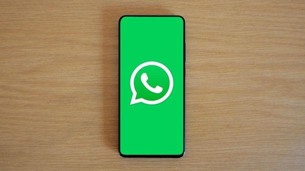 Informazioni preliminari WhatsApp