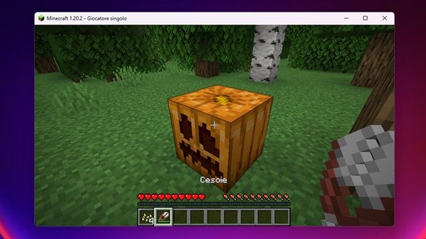 Intagliare zucca Minecraft