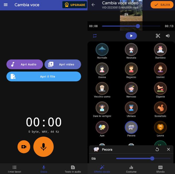 schermate app Video cambia voce Pro