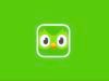 Come eliminare un corso su Duolingo