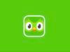 Come eliminare un corso su Duolingo